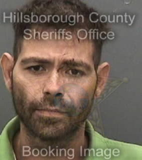 Lee Michael - Hillsborough County, Florida 