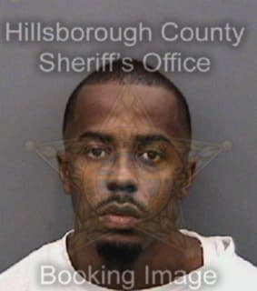 Ford Quentin - Hillsborough County, Florida 