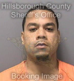 Nunez Jason - Hillsborough County, Florida 