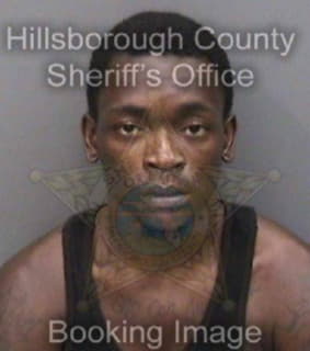 Artest Troin - Hillsborough County, Florida 