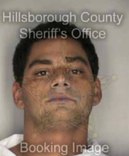 Delgado Jose - Hillsborough County, Florida 