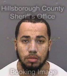 Diaz Joshua - Hillsborough County, Florida 