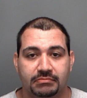 Roman Marc - Pinellas County, Florida 