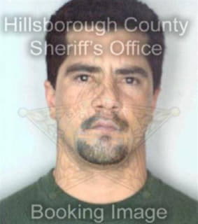 Lopez David - Hillsborough County, Florida 