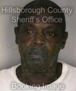 Martin James - Hillsborough County, Florida 