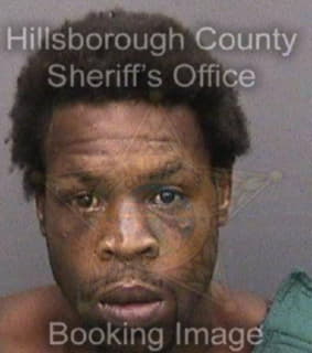 Mincey Jermaine - Hillsborough County, Florida 