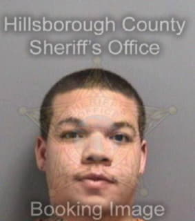 Kelly Calvin - Hillsborough County, Florida 