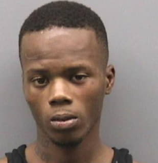 Johnson Dontavius - Hillsborough County, Florida 