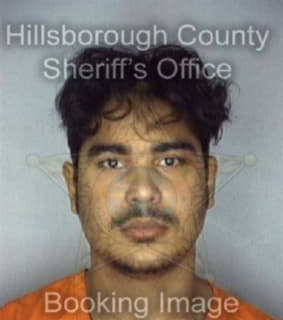 Deleon Josue - Hillsborough County, Florida 