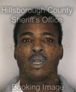 Robinson Sylvester - Hillsborough County, Florida 