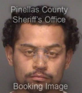 Rocha Wilson - Pinellas County, Florida 