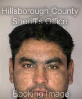 Pesinamartinez Gerardo - Hillsborough County, Florida 