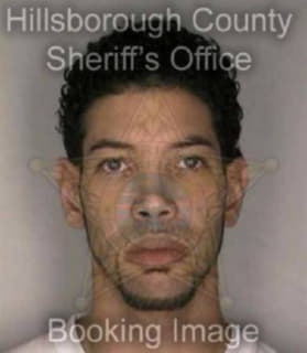 Rodriguez Michael - Hillsborough County, Florida 