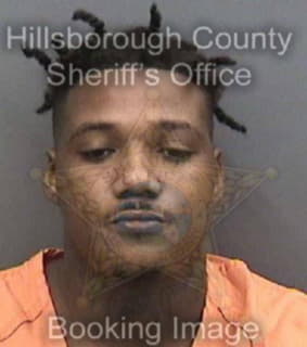 Miller Anthony - Hillsborough County, Florida 