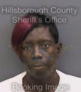 Miller Dwan - Hillsborough County, Florida 