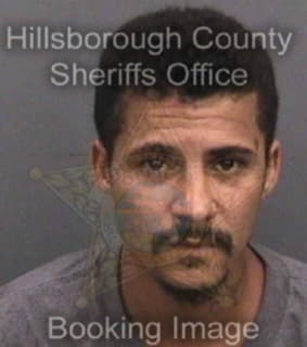 Daves Kristopher - Hillsborough County, Florida 