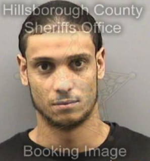 Rodriguezayala Pierre - Hillsborough County, Florida 