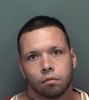 Cox Daniel - Pinellas County, Florida 