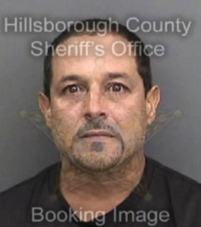 Millan Elvin - Hillsborough County, Florida 