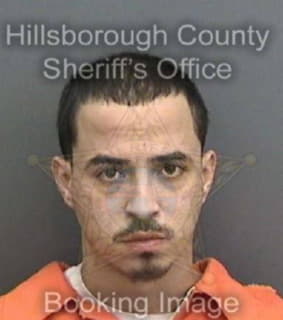 Lopez Jose - Hillsborough County, Florida 