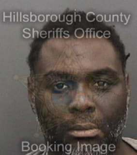 Mcmillon Mario - Hillsborough County, Florida 