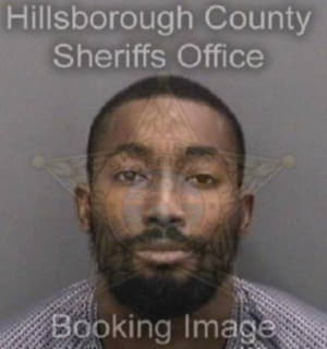 Devine Odell - Hillsborough County, Florida 