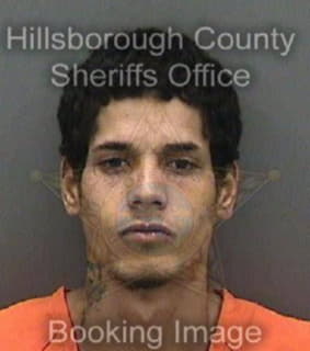 Blanco-Romero Adrian - Hillsborough County, Florida 