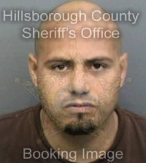 Leontorres Luis - Hillsborough County, Florida 