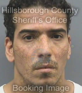 Lopez Manuel - Hillsborough County, Florida 