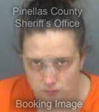 Harrington Michelle - Pinellas County, Florida 