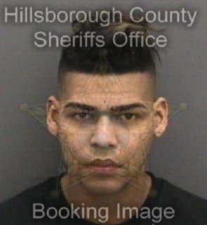 Penaviltres Osvaldo - Hillsborough County, Florida 