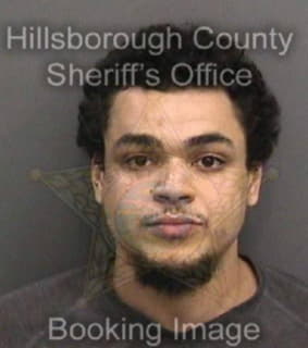 Williams Franklin - Hillsborough County, Florida 