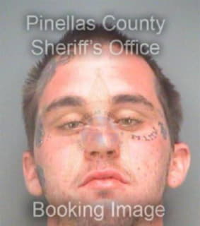 Morgan Nicholas - Pinellas County, Florida 