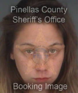 Bradley Alexis - Pinellas County, Florida 