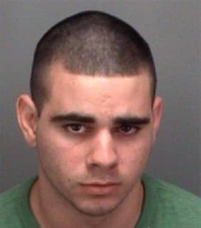 Martinez Landy - Pinellas County, Florida 