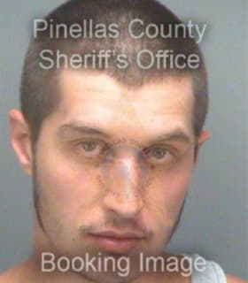 Martin Andrew - Pinellas County, Florida 