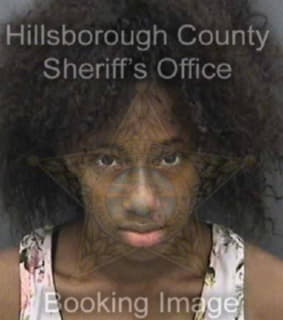 Ashley Brenda - Hillsborough County, Florida 