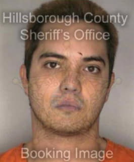 Craig Eric - Hillsborough County, Florida 