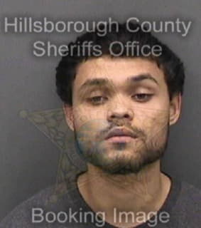 Cardona Jason - Hillsborough County, Florida 