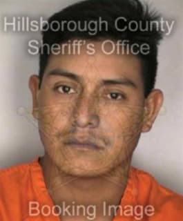 Perezdiaz Andreas - Hillsborough County, Florida 