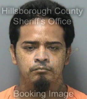 Rodriguez Francisco - Hillsborough County, Florida 