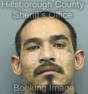 Martinez Gerardo - Hillsborough County, Florida 