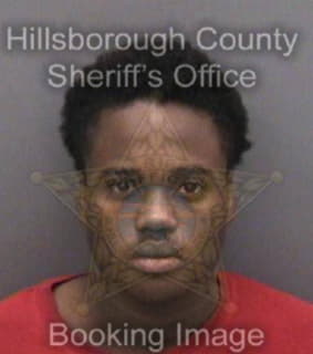 Rejouis Renaldo - Hillsborough County, Florida 