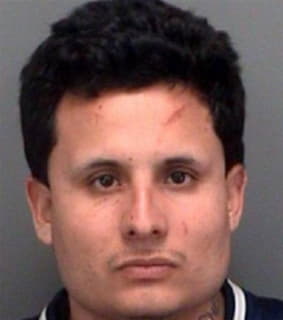 Andrade Daniel - Pinellas County, Florida 