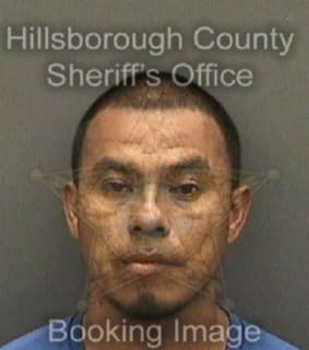 Ramirez Jose - Hillsborough County, Florida 