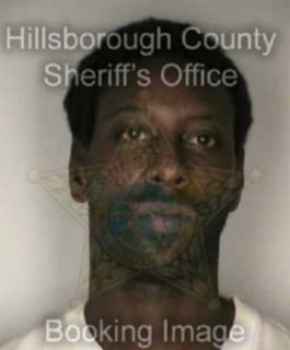 Alexander Marcellus - Hillsborough County, Florida 