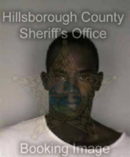 Patterson Michael - Hillsborough County, Florida 