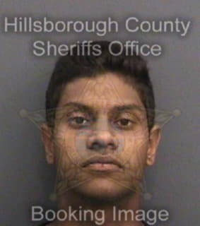 Vidal Peter - Hillsborough County, Florida 