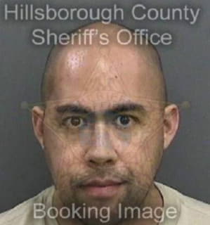 Lucano Anthony - Hillsborough County, Florida 