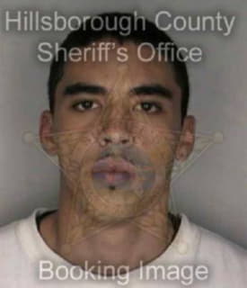 Richardson Bruce - Hillsborough County, Florida 